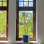Huus Am Streek Padd Apartamento